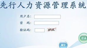 山東先行軟件信息技術(shù) 助力煙臺(tái)與山東地區(qū)軟件開發(fā)與網(wǎng)站建設(shè)